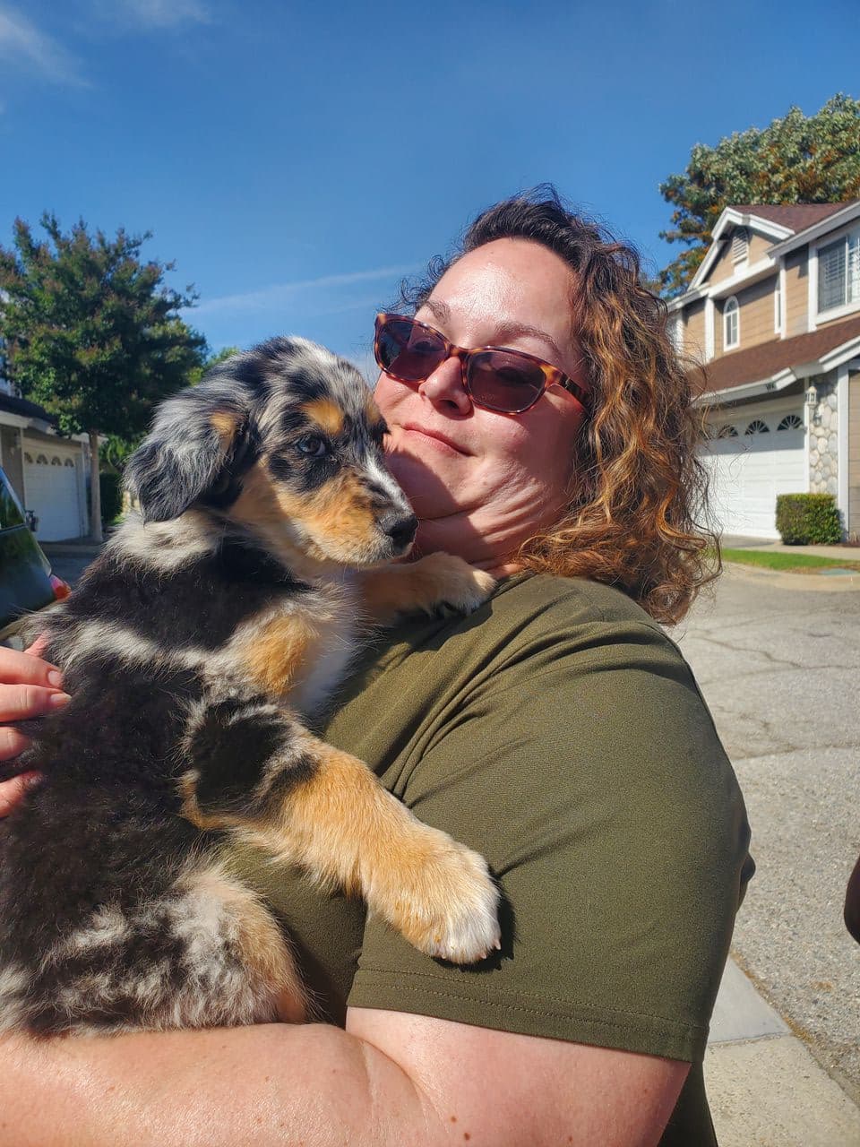 Pet travel photo 4