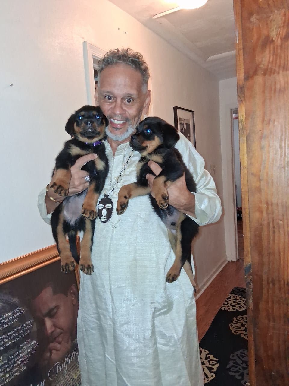 Pet travel photo 2