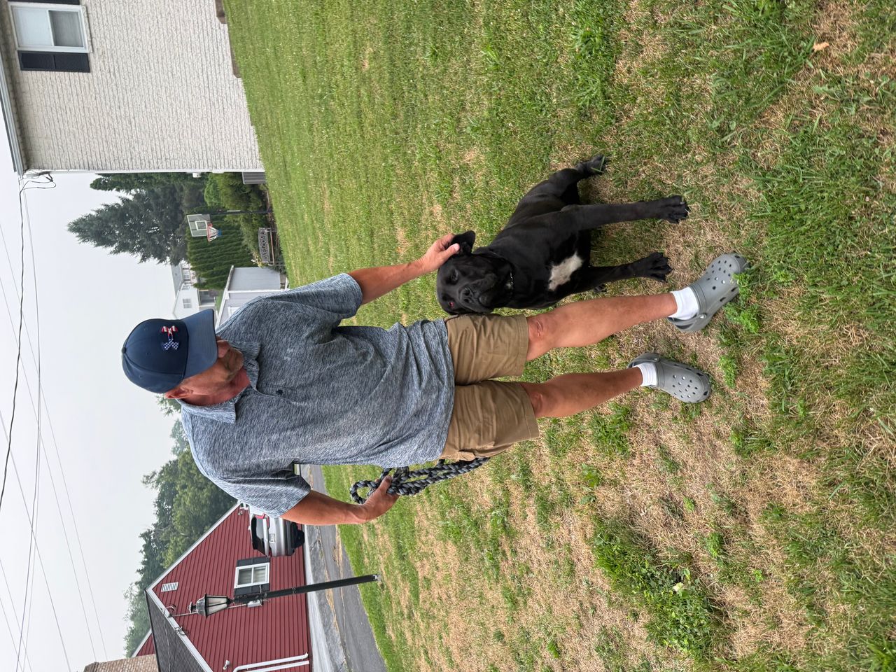 Pet travel photo 3