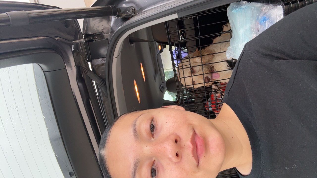 Pet travel photo 6