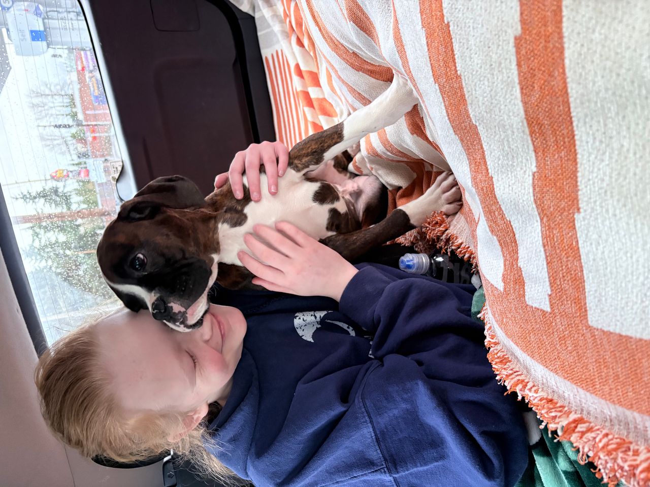 Pet travel photo 2