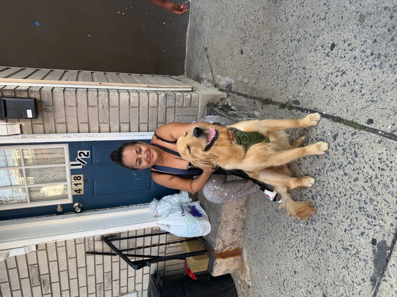 Pet travel photo 5