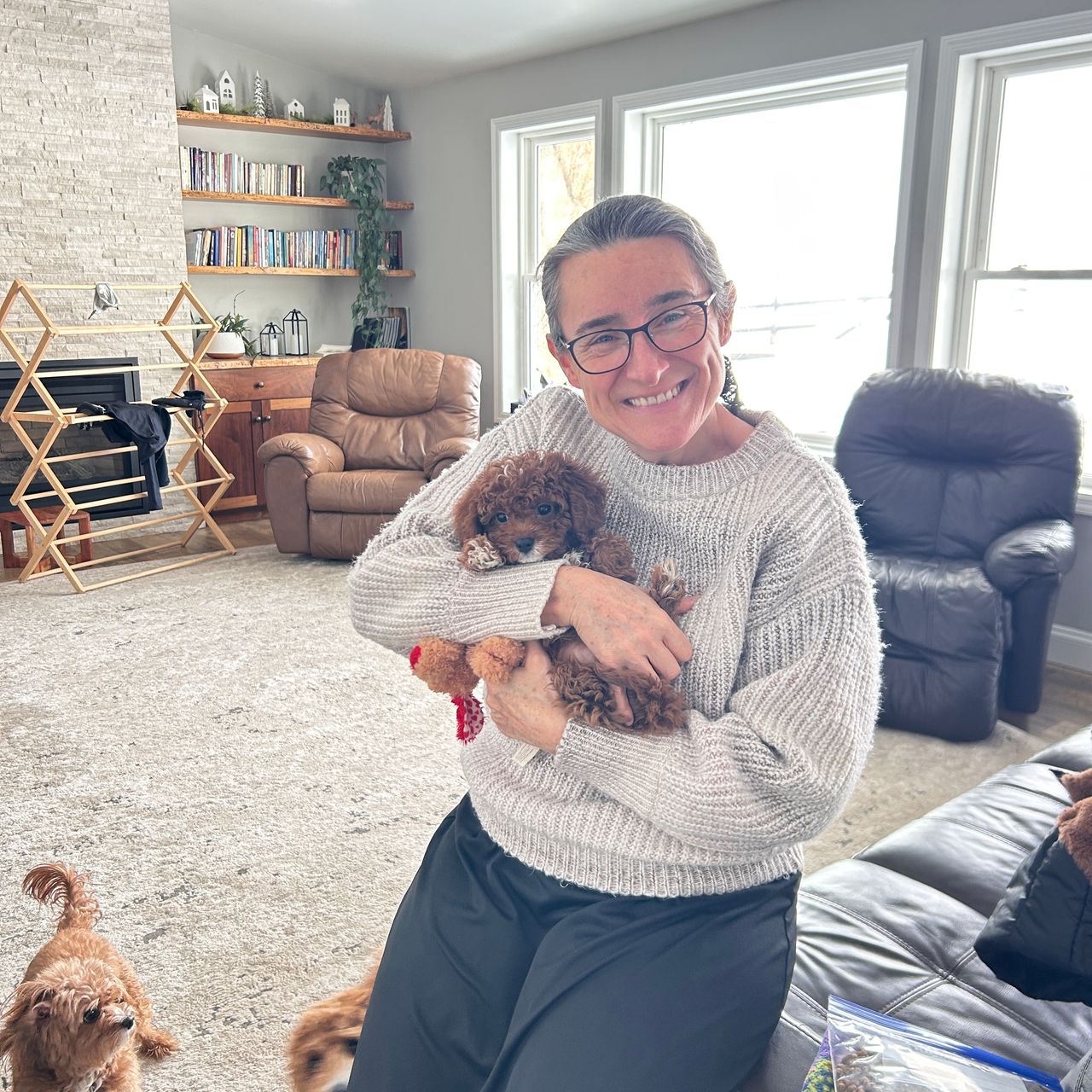 Pet travel photo 4