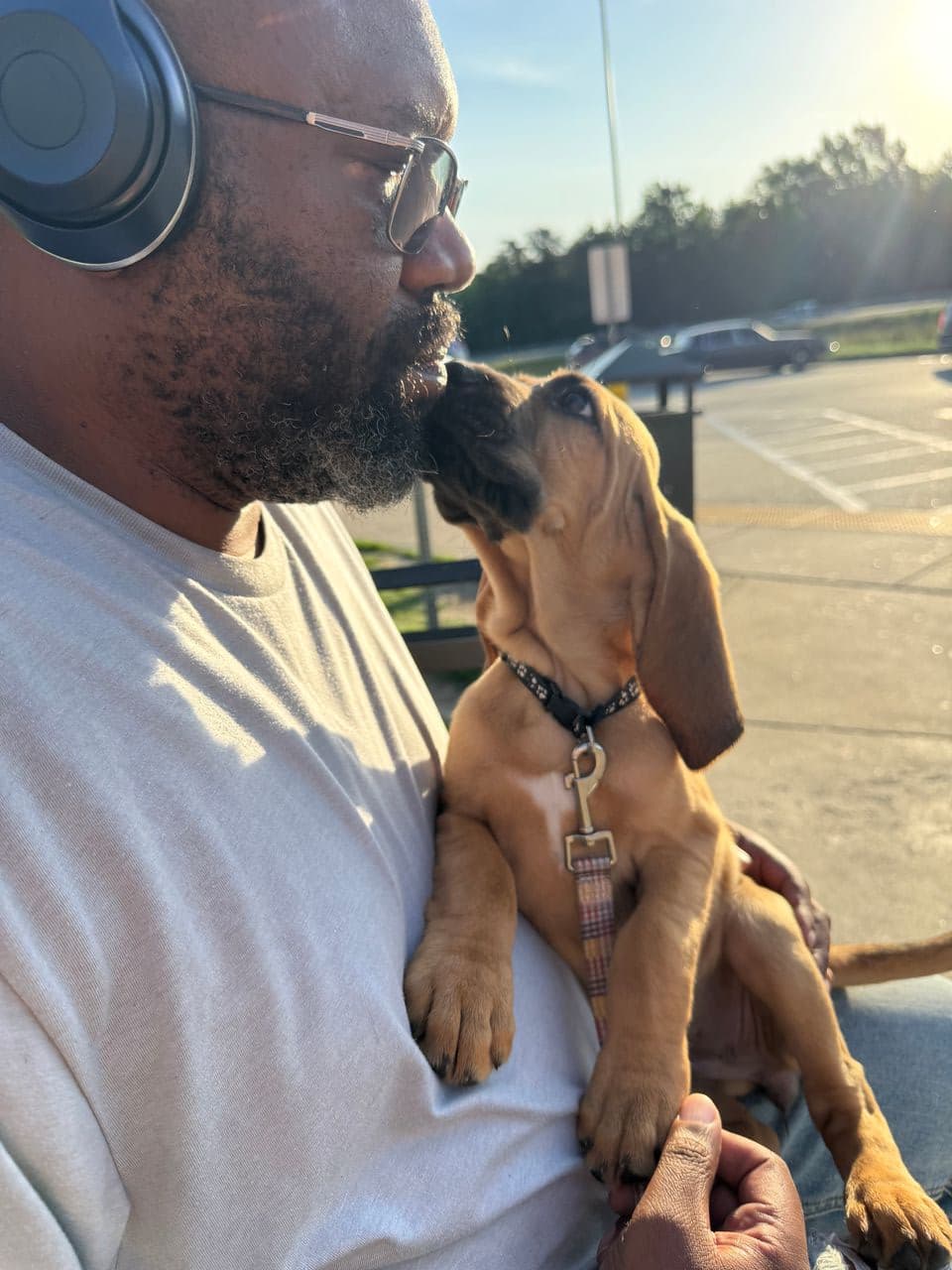 Pet travel photo 5