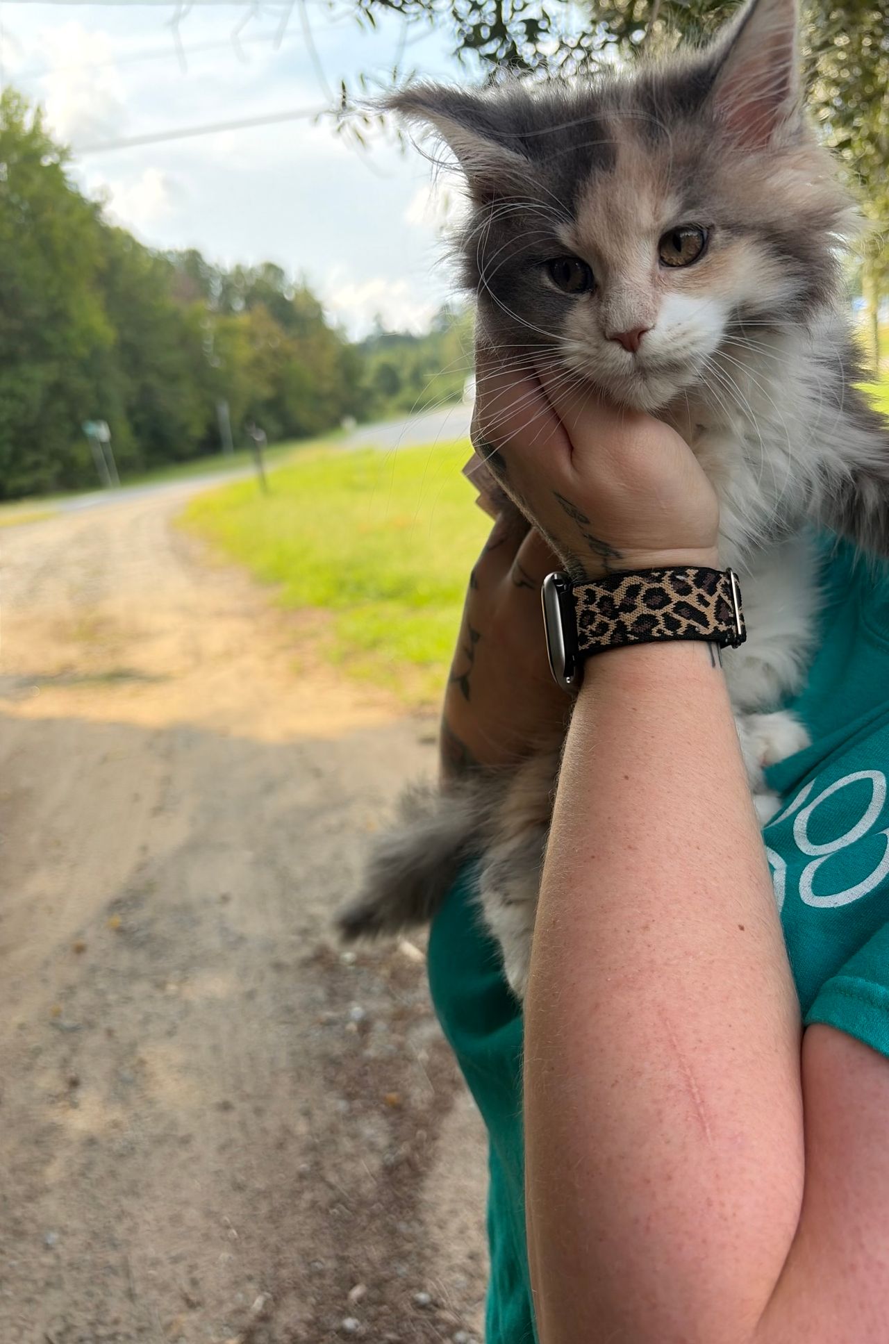 Pet travel photo 2