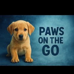 Paws on the Go