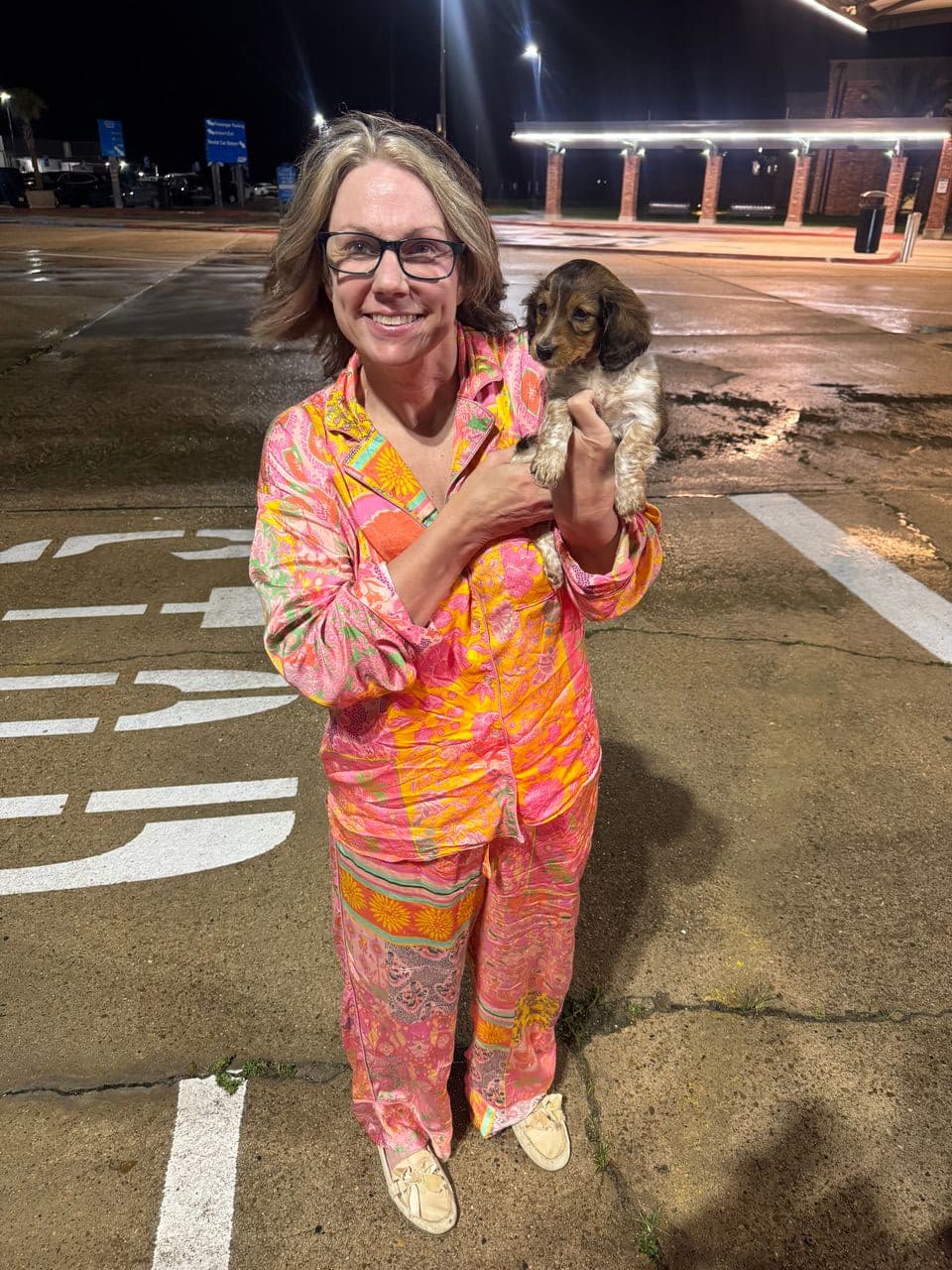 Pet travel photo 1