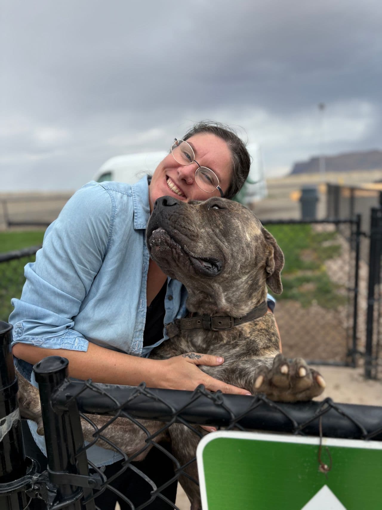 Pet travel photo 4