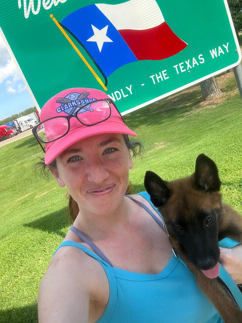 Pet travel photo 1