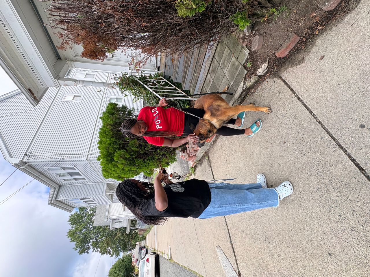 Pet travel photo 1