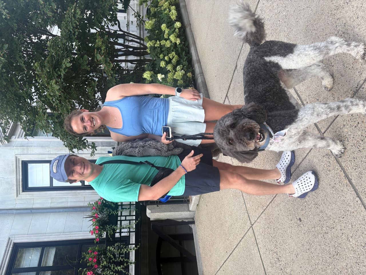 Pet travel photo 4