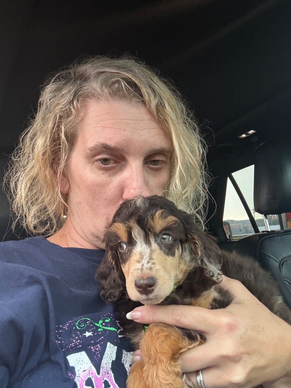 Pet travel photo 2