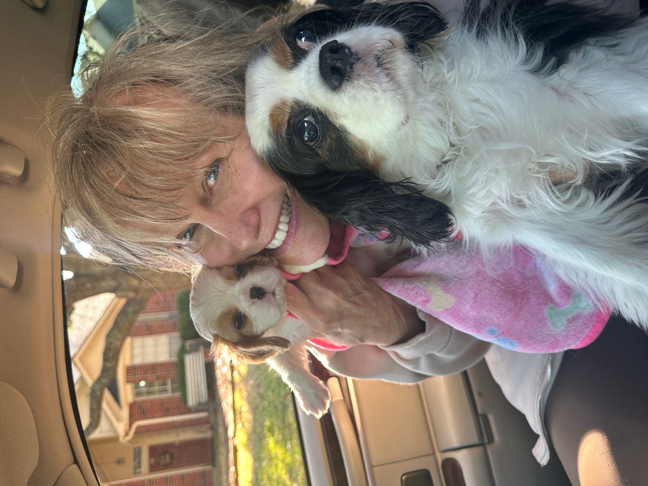 Pet travel photo 5