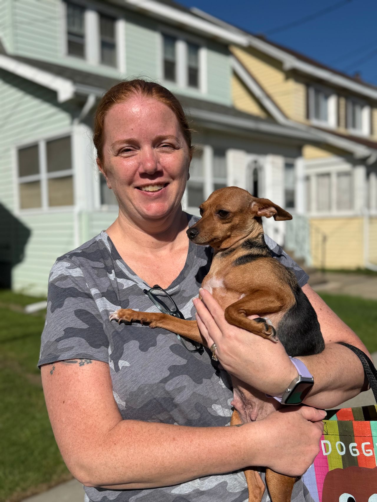 Pet travel photo 1