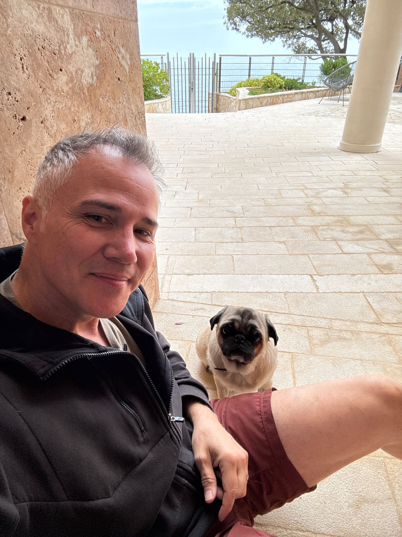 Pet travel photo 4