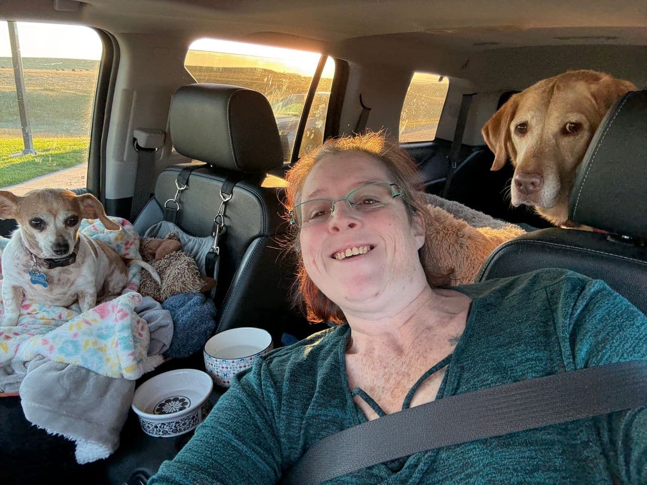 Pet travel photo 4
