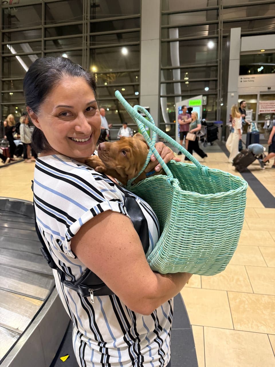 Pet travel photo 4