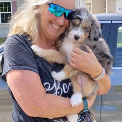 Paws Across America Transport Services LLC