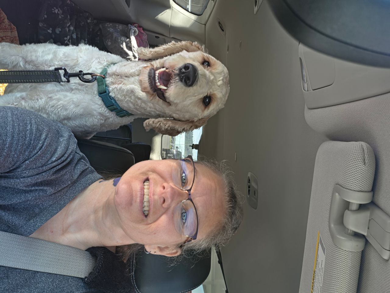 Pet travel photo 4