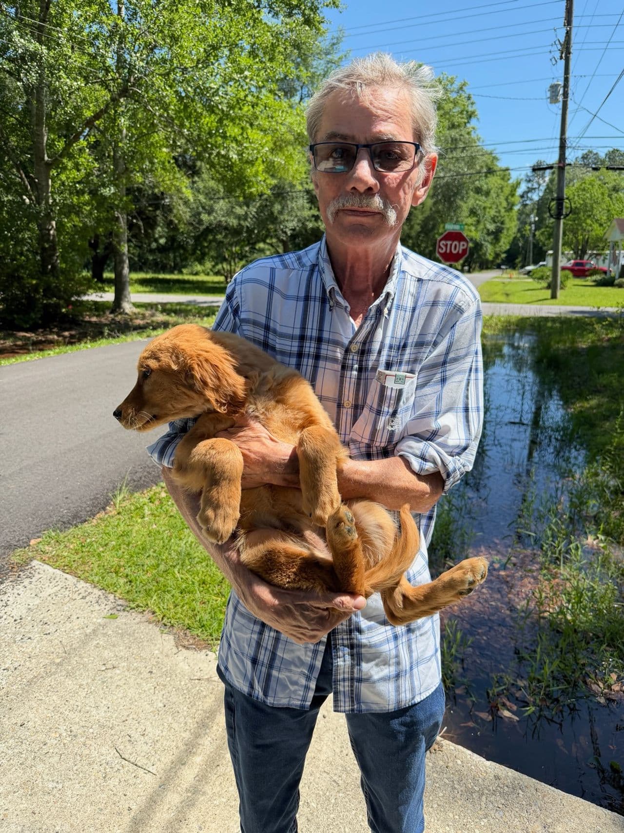Pet travel photo 4