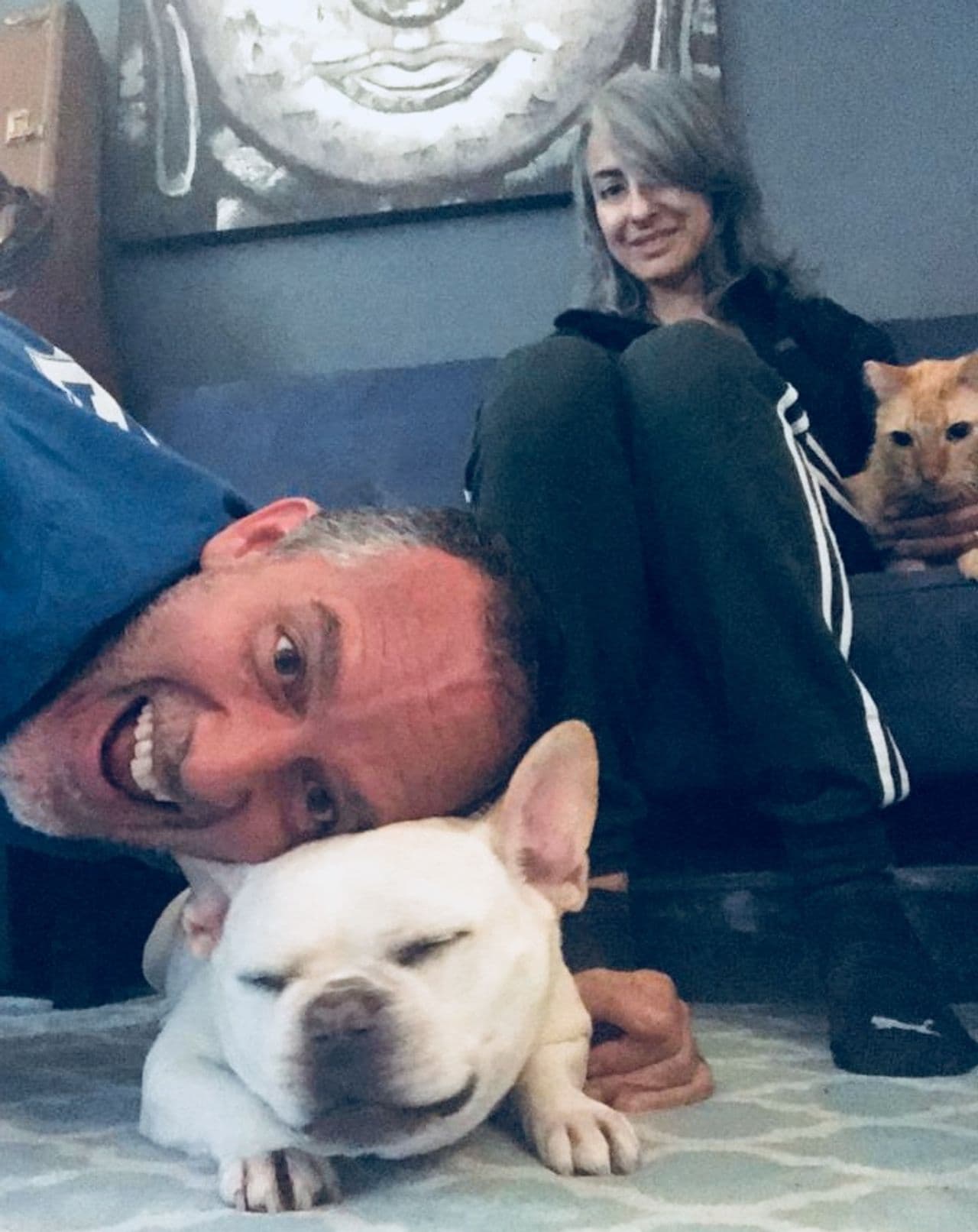 Pet travel photo 4