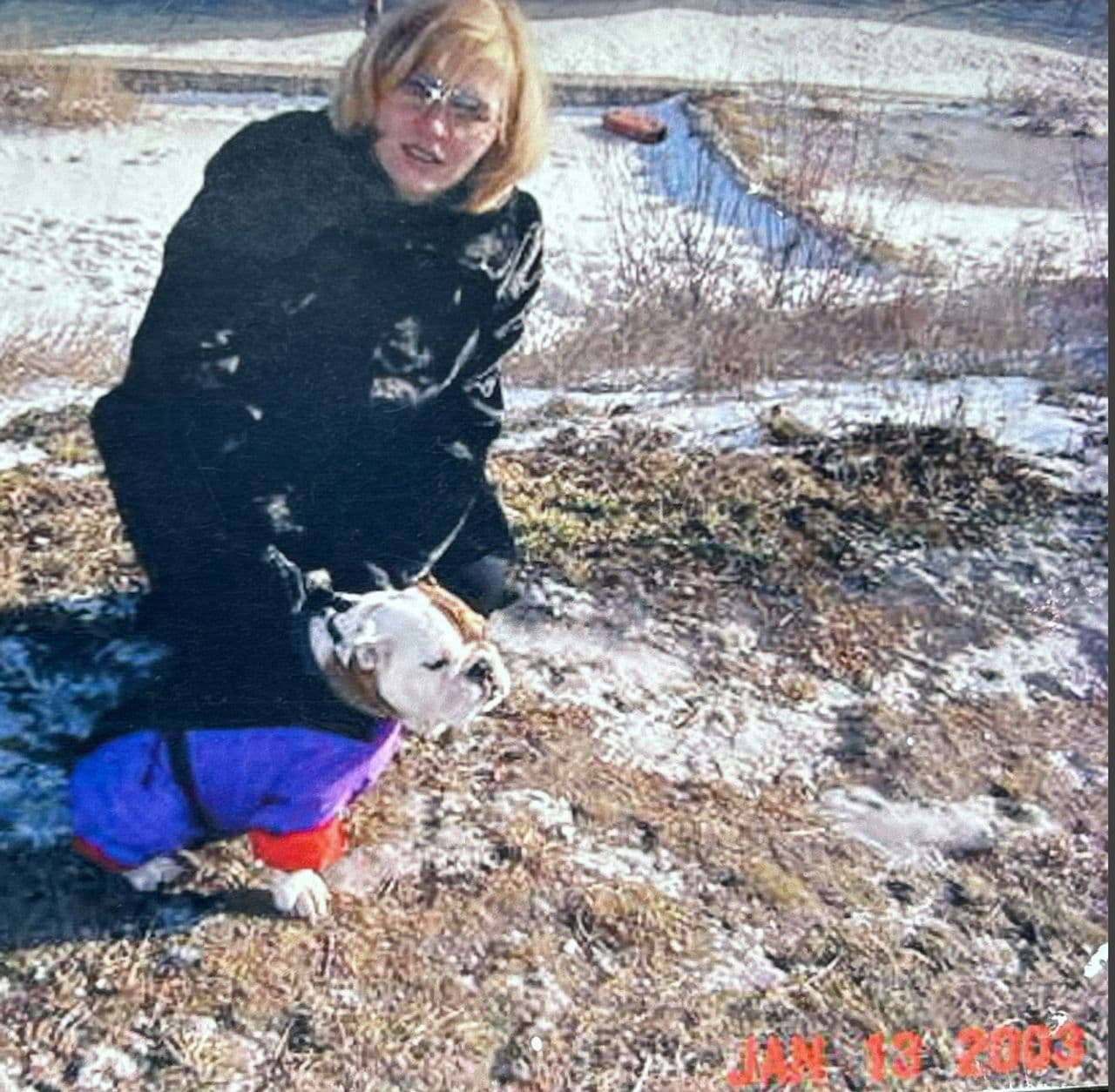 Pet travel photo 3
