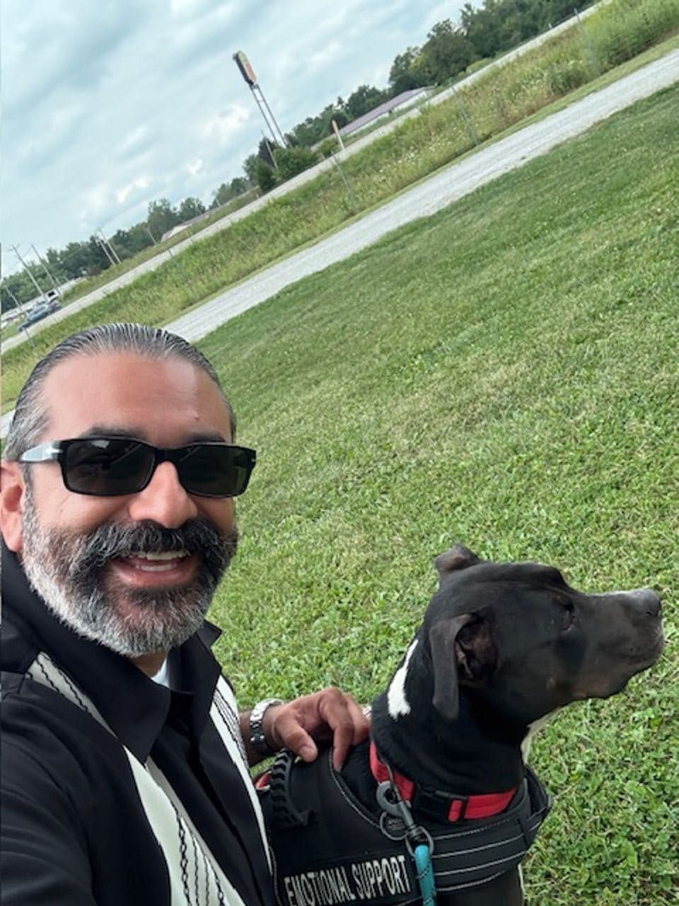 Pet travel photo 5
