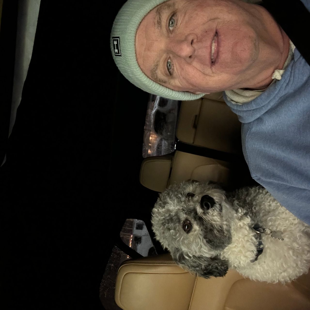 Pet travel photo 1