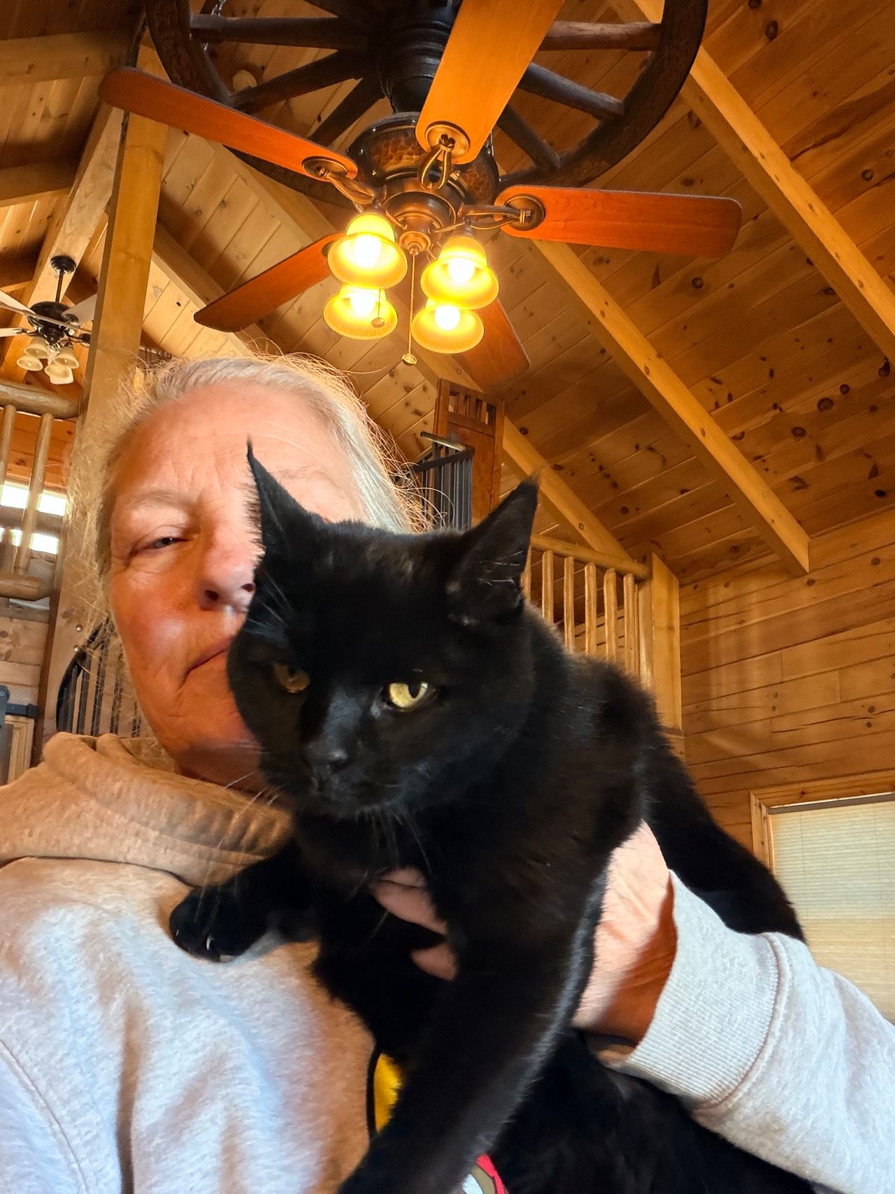 Pet travel photo 4