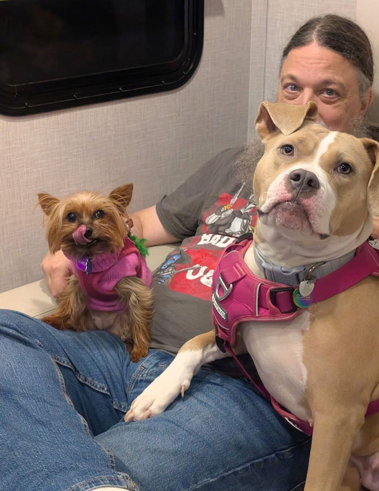 Pet travel photo 5