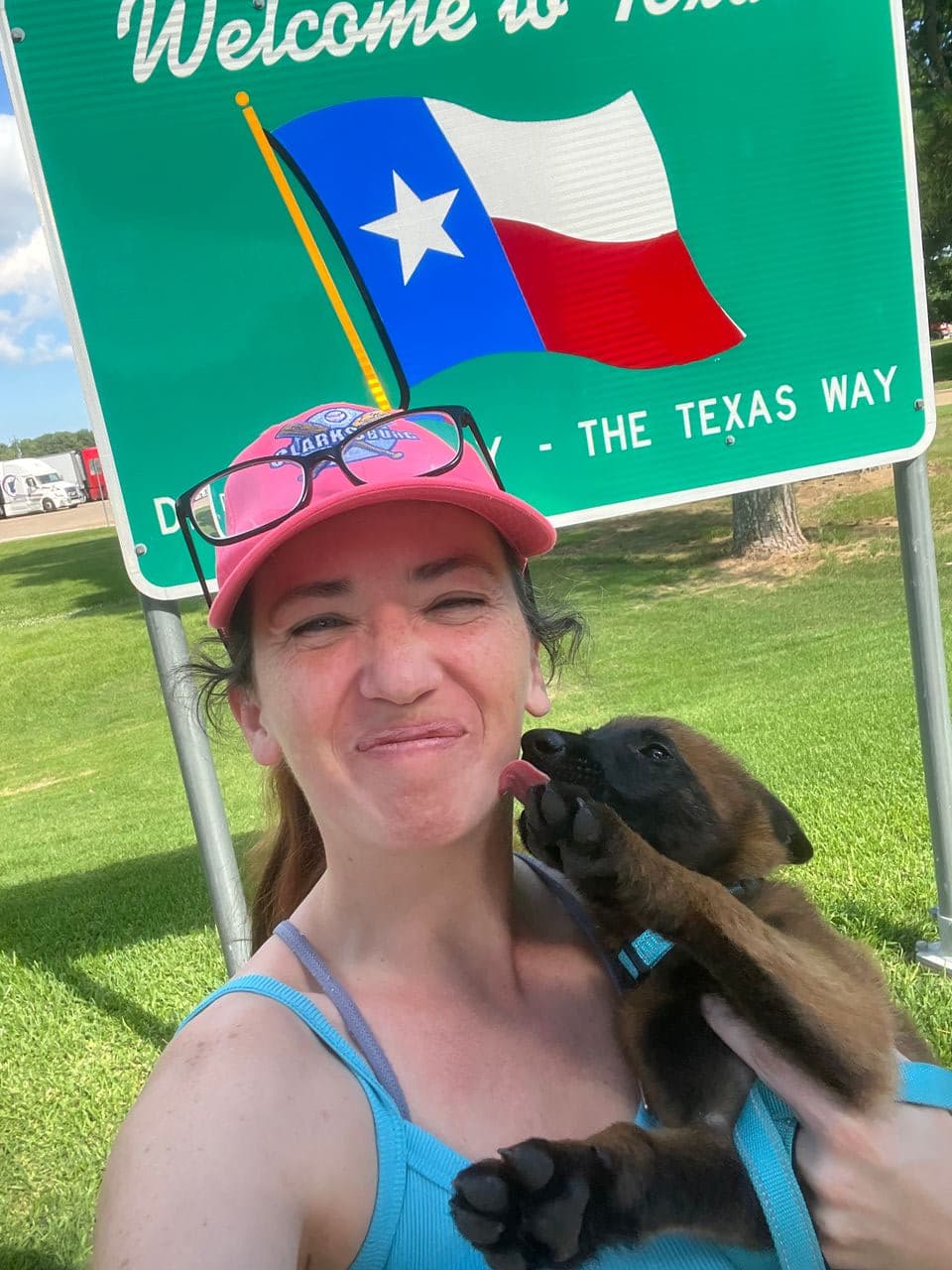 Pet travel photo 2