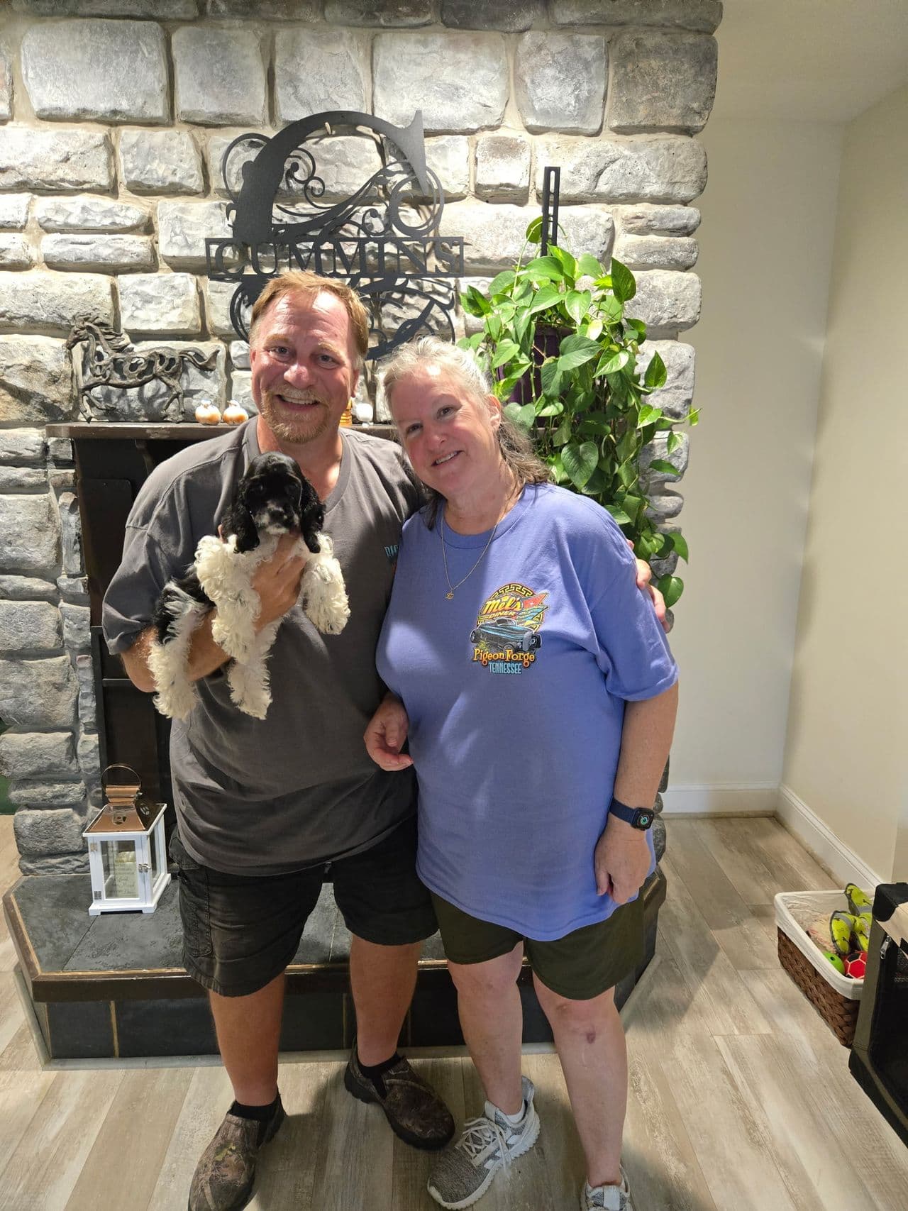 Pet travel photo 6