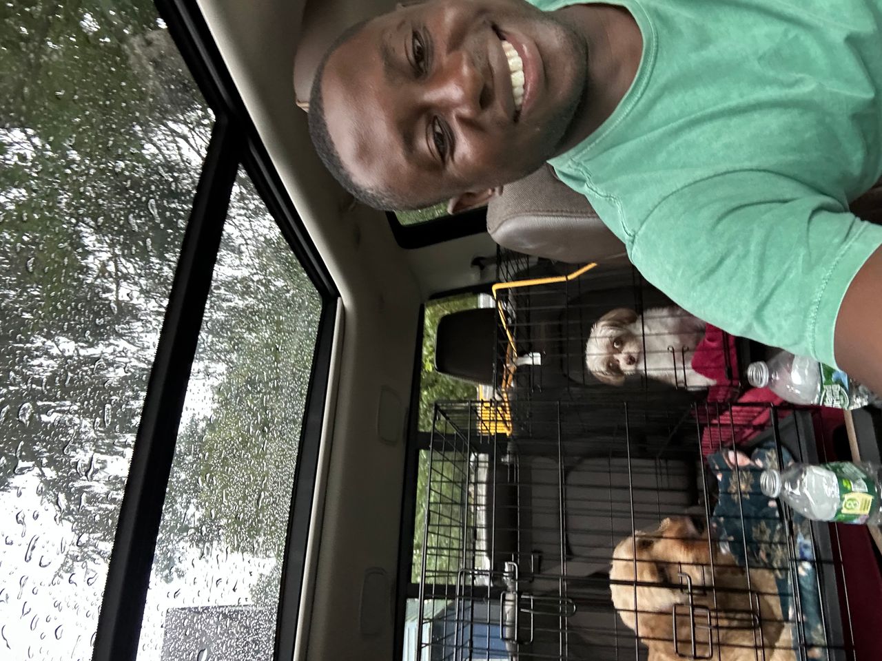 Pet travel photo 1