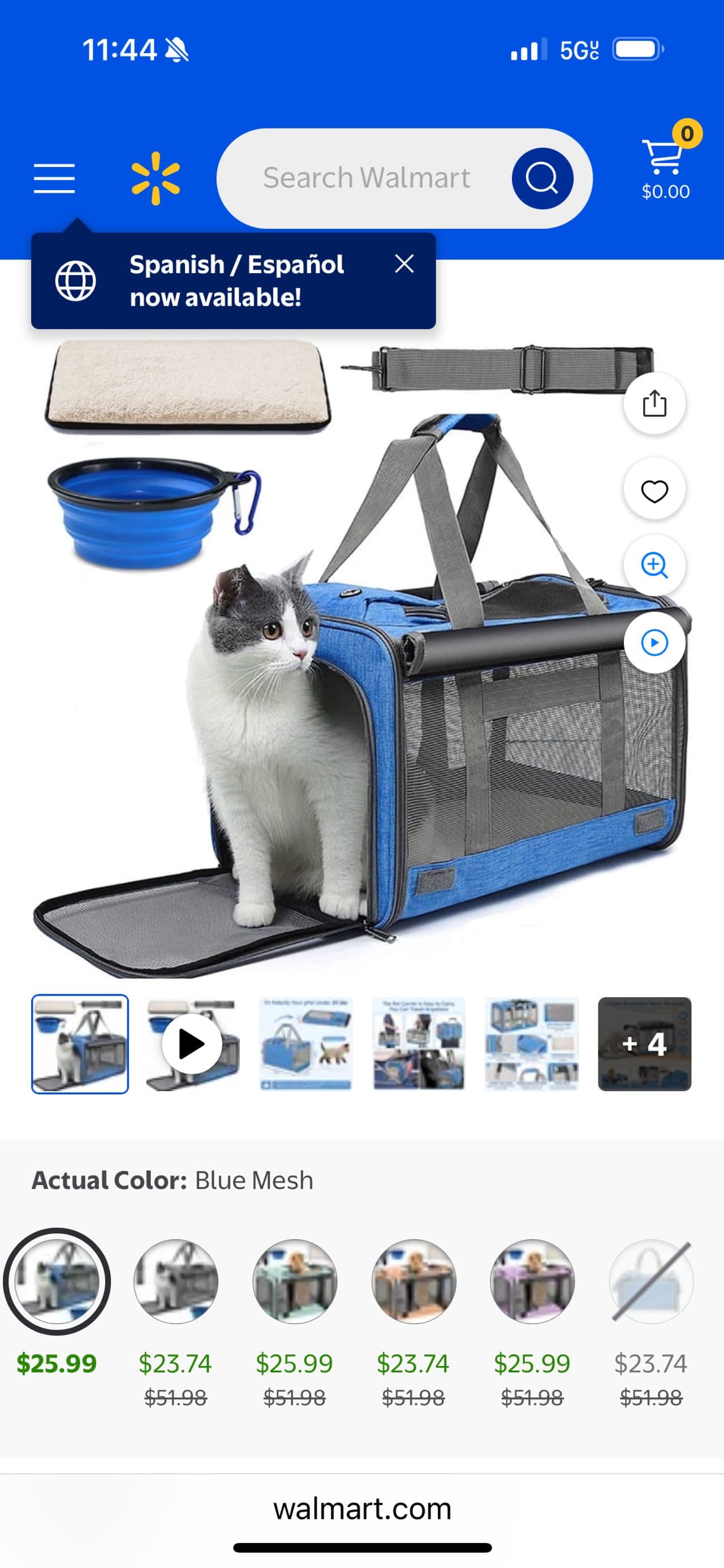 Pet travel photo 2
