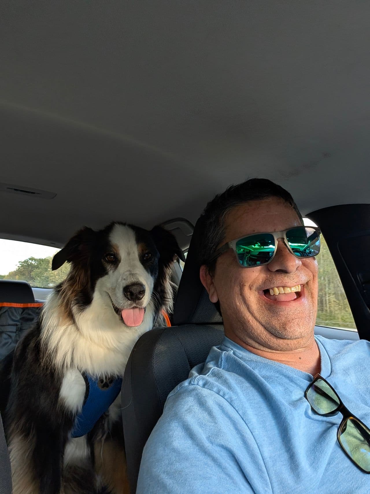 Pet travel photo 3
