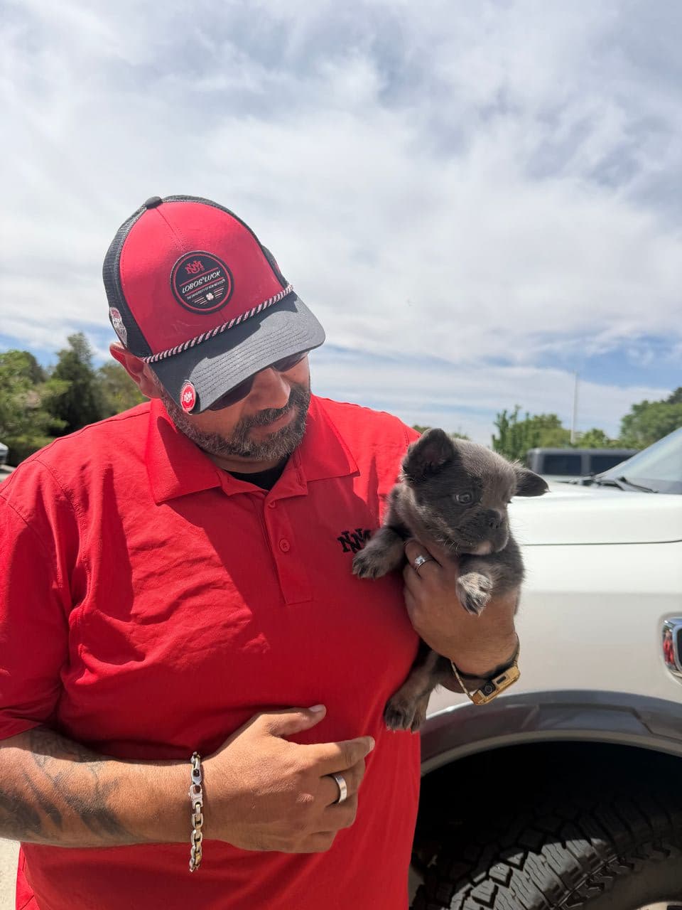 Pet travel photo 1