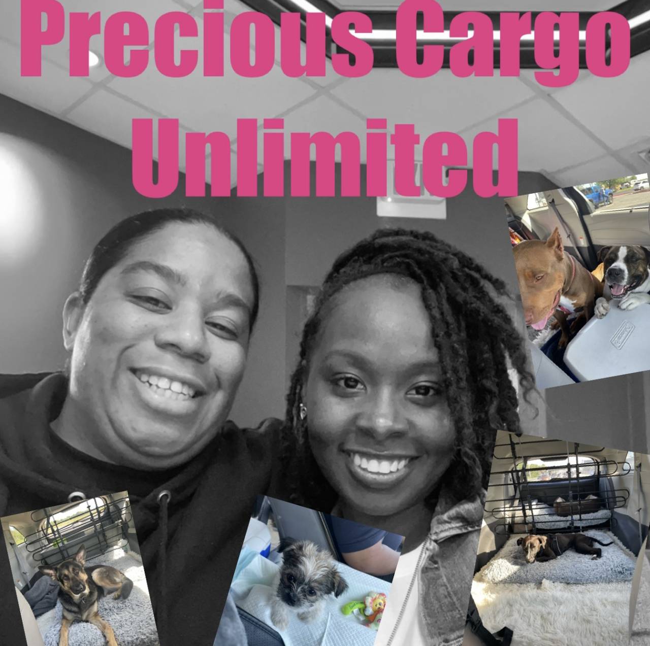 Precious Cargo Unlimited, LLC