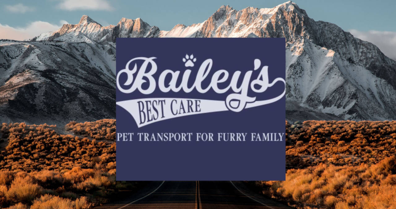 Bailey's Best Care Pet Transport