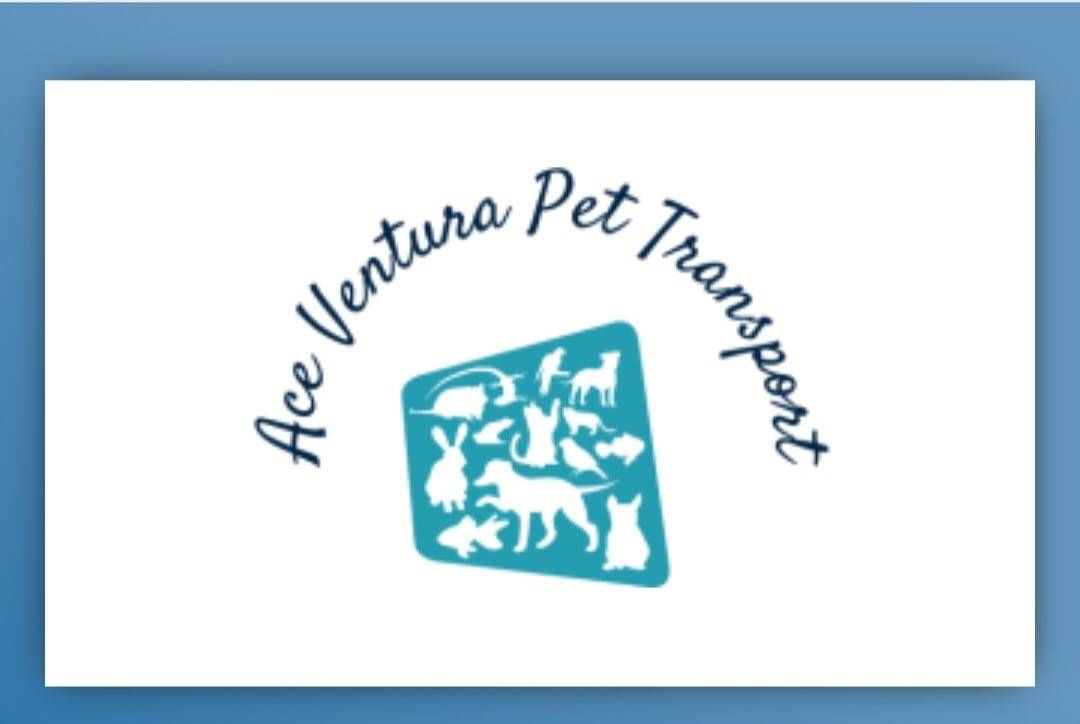 Ace Ventura Pet Transport