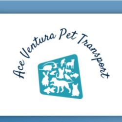 Ace Ventura Pet Transport