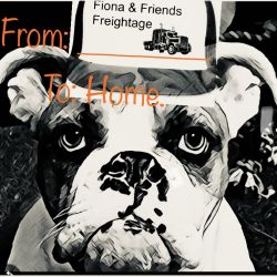 Fiona & Friends Freightage