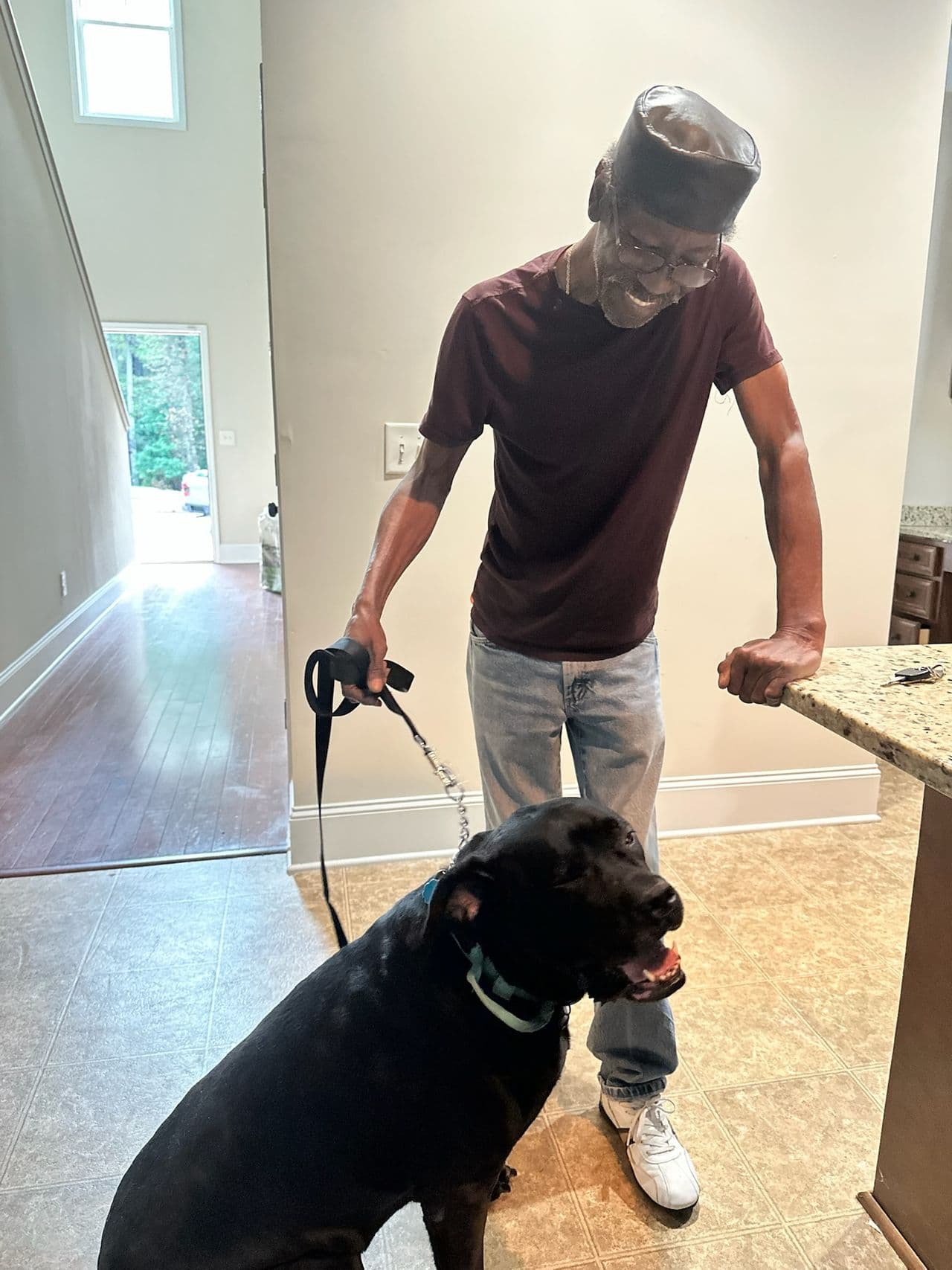 Pet travel photo 2