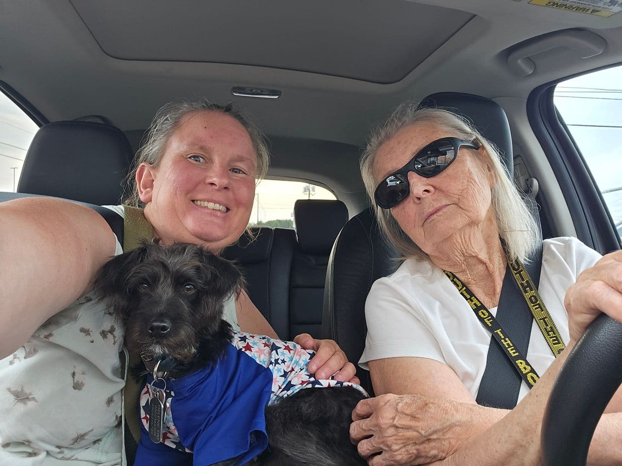 Pet travel photo 3