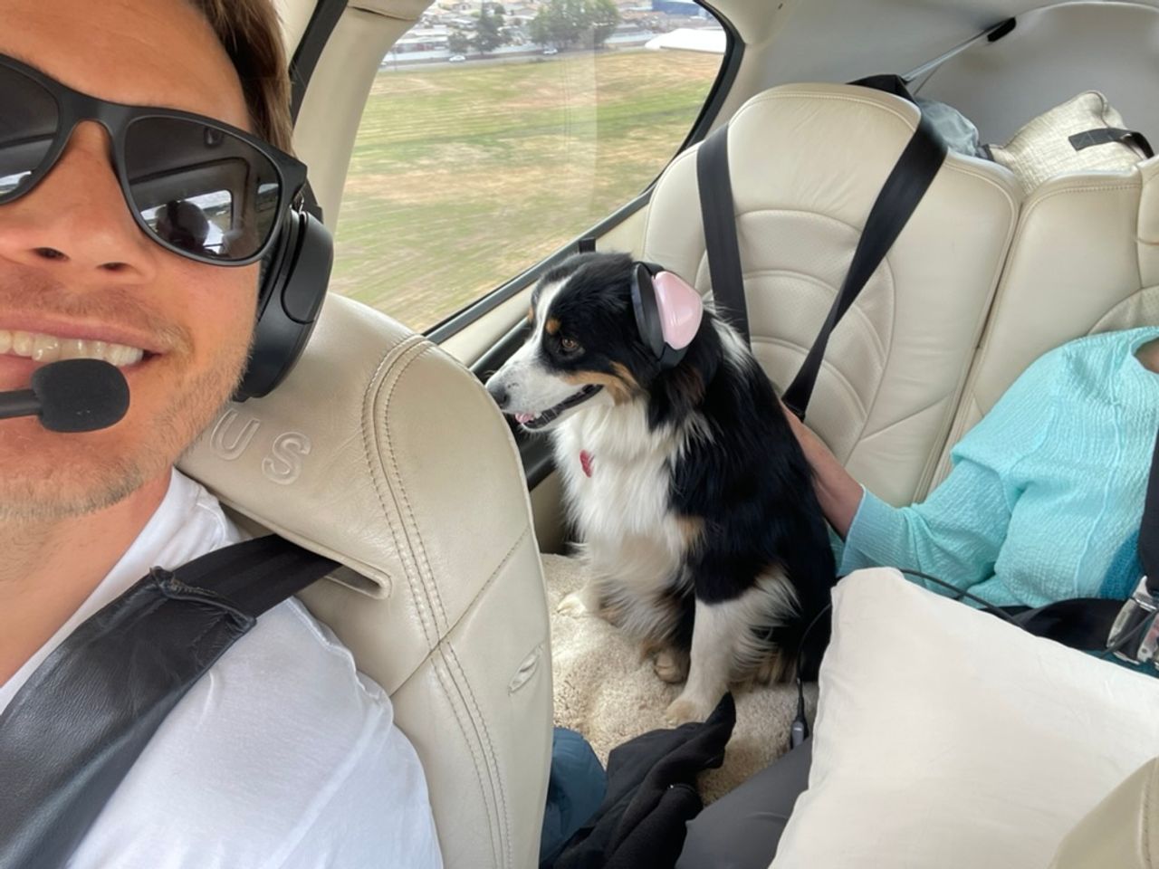 Pet travel photo 5