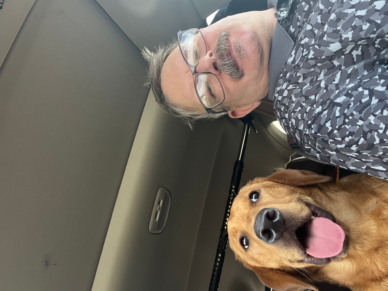 Pet travel photo 4