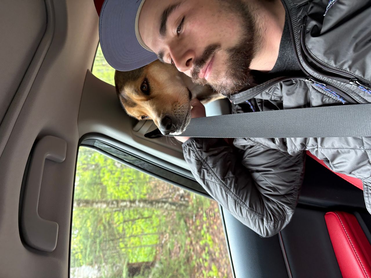 Pet travel photo 2