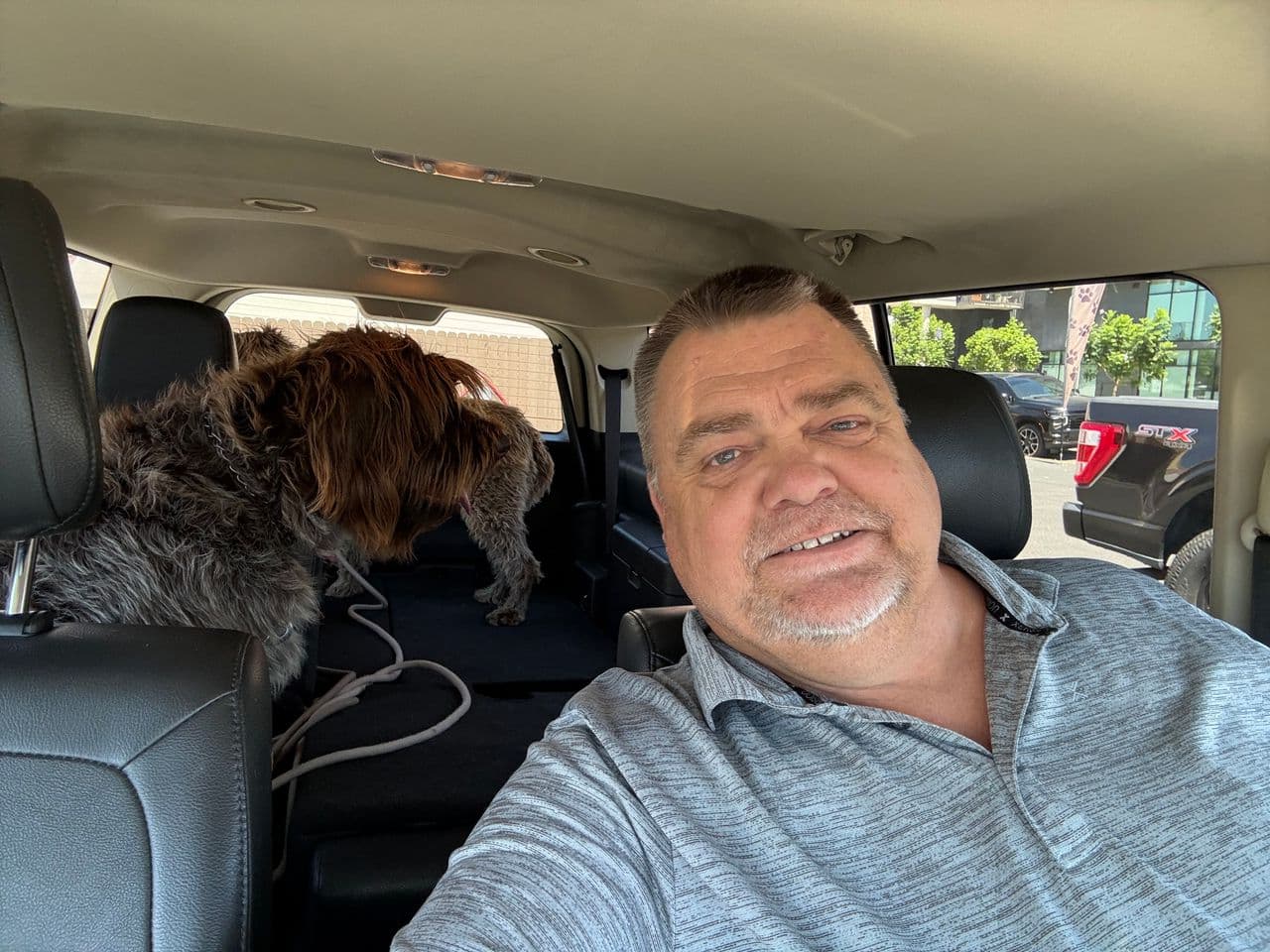 Pet travel photo 3