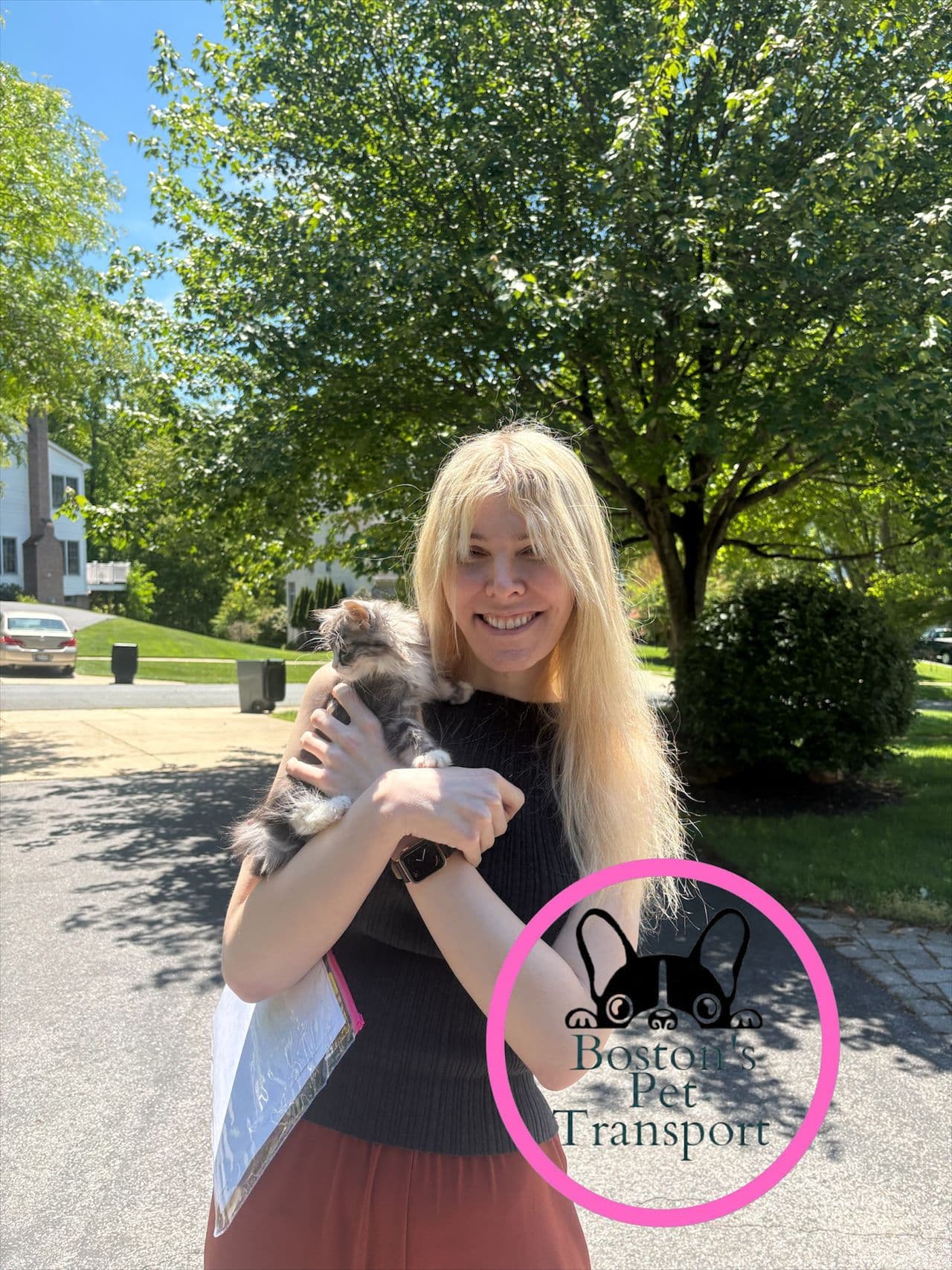 Pet travel photo 1