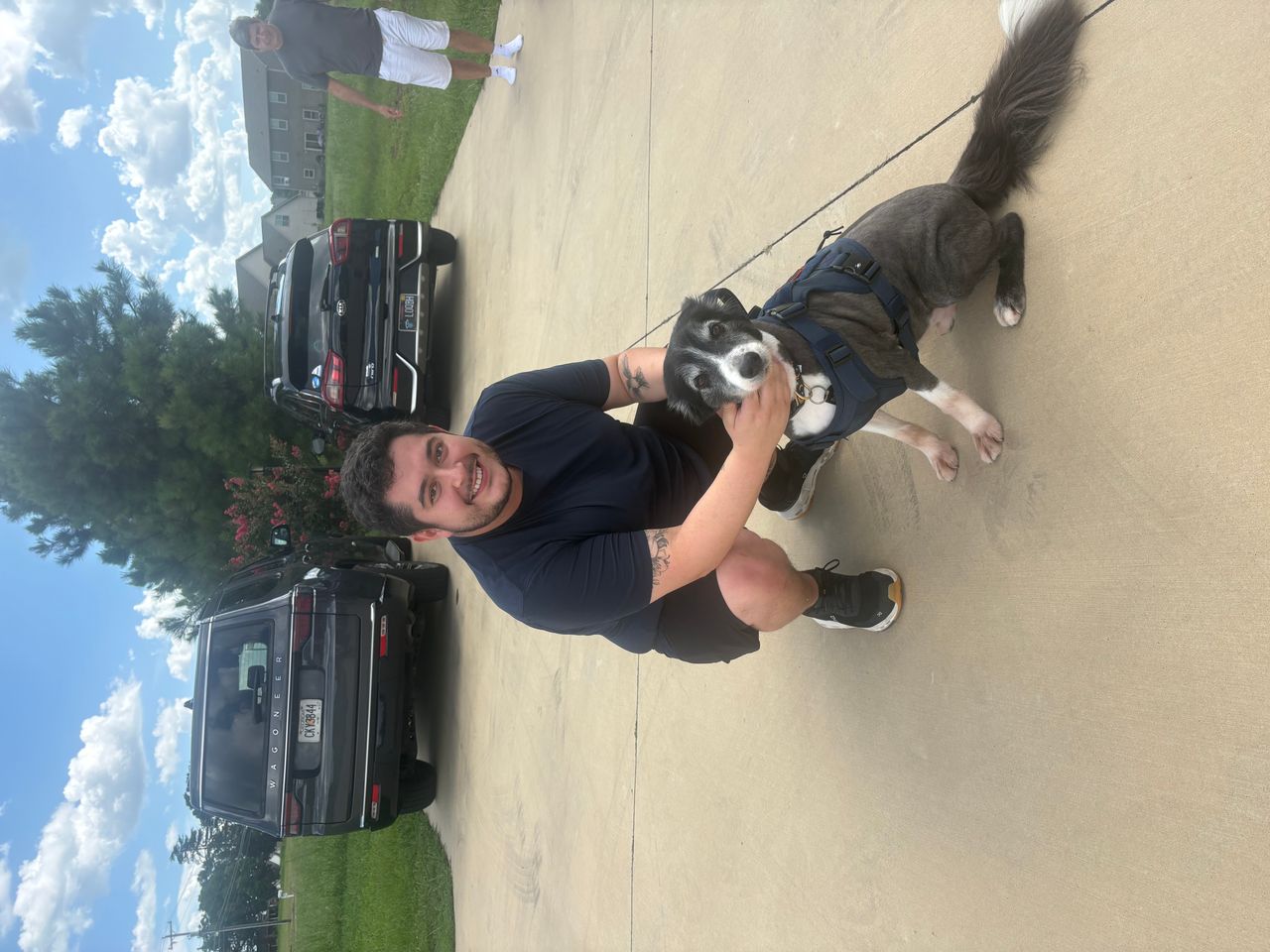 Pet travel photo 2