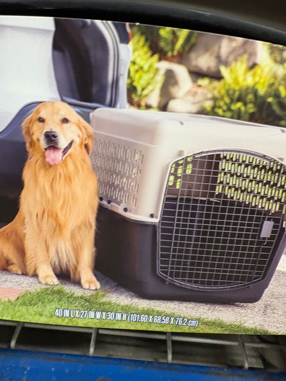 Pet travel photo 1